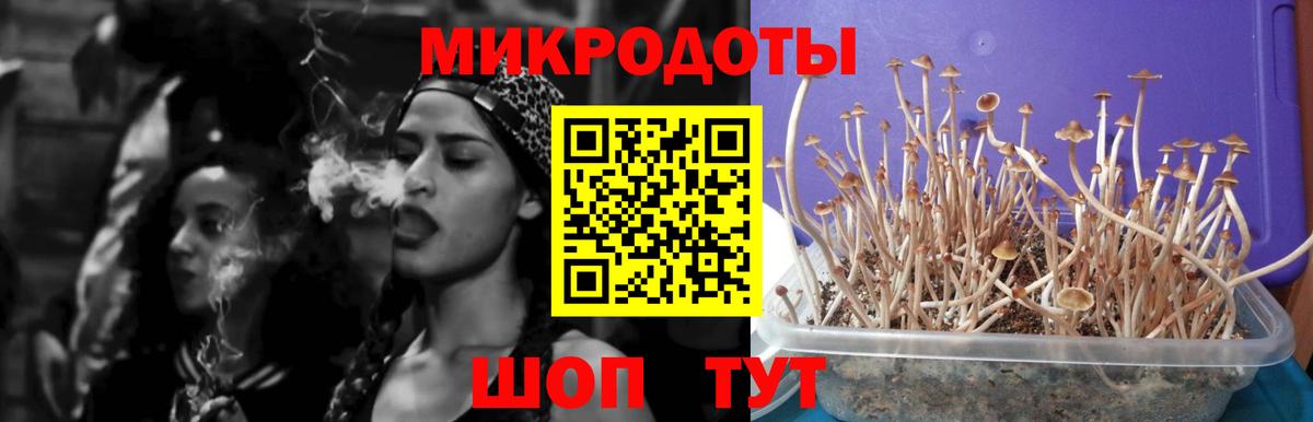 ГАШ  Вход с VPN  Лсд 25  Меф   Вятские Поляны  Конопля 